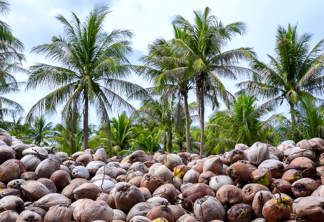 Caring for Our Planet 